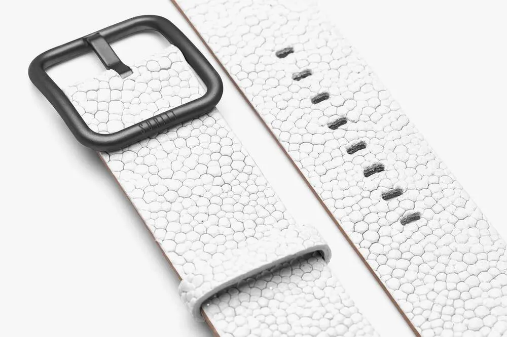 Apple Watch Band New Wonder White