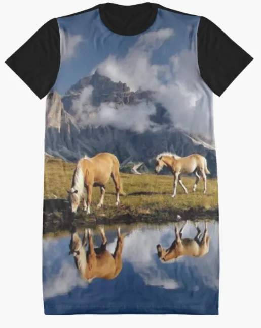 Cowgirl Kim The Palomino's Graphic Tee Dress - Large Only
