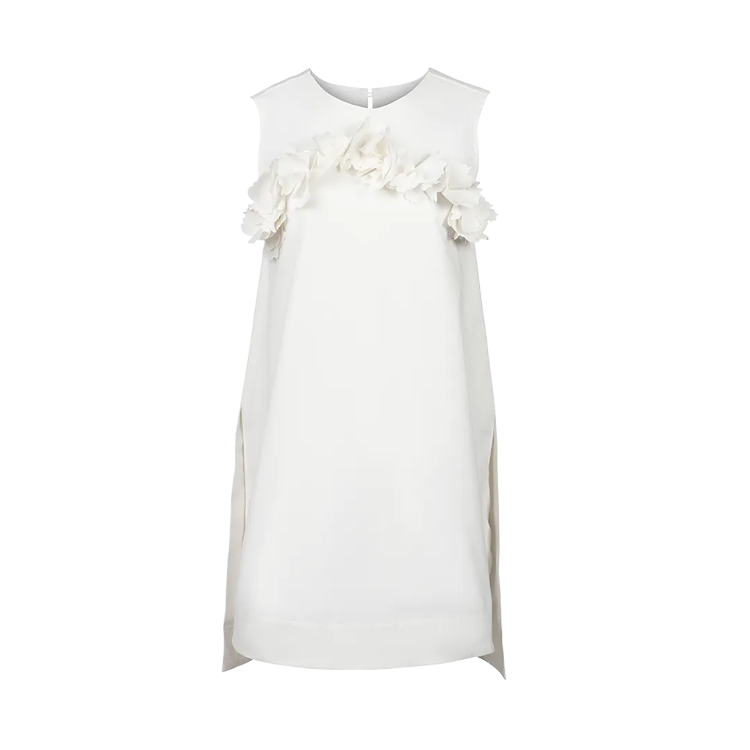 Ruffled Shift Dress