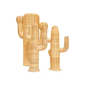 Small Rattan Cactus